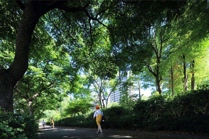 P&T+52坪奢雅兩房 林口換屋新亮點