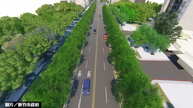 樹木生態學 竹市啟動東大林蔭計畫