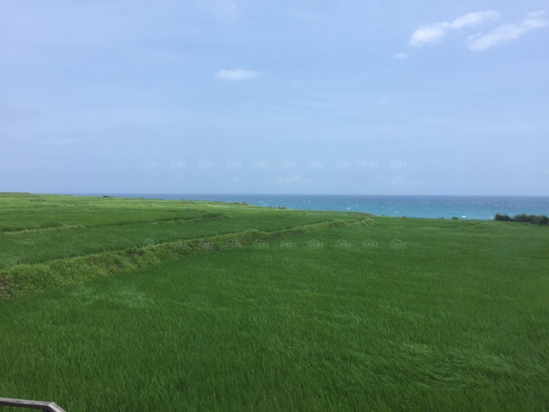 申請金門雷區土地返還期限將至 下月11日最後期限