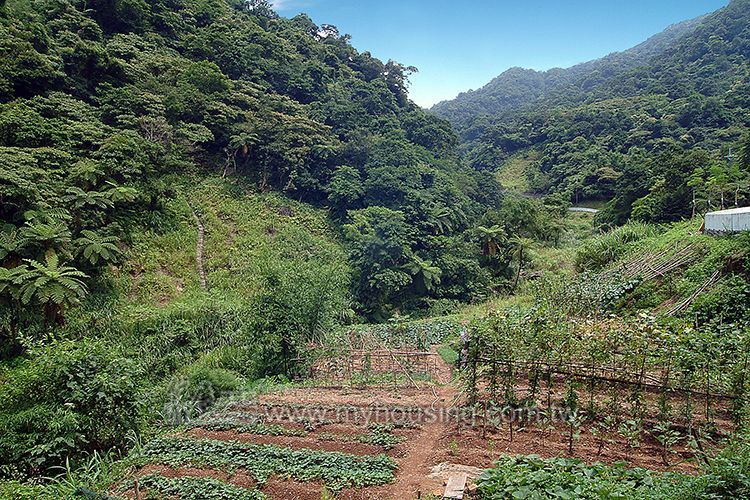 農業用地依規定種電 可免徵地價稅