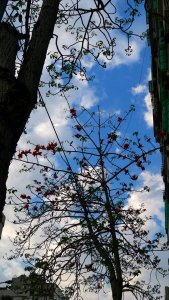 巡禮～『新版』不動產說明書