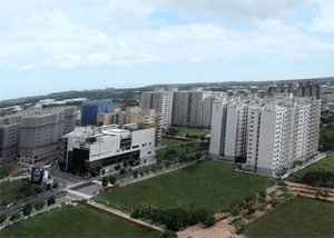 北市空總仁愛路用地應造都市之肺