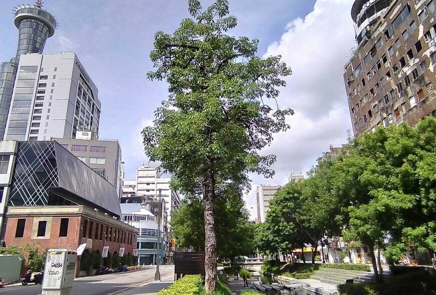 買近十年新房子，為什麼建材問題特別多？  這不只是工班施工爛，是整個...