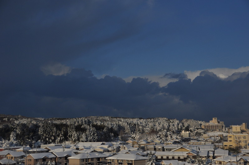 「震」撼教育：建物耐震評估、土壤液化資訊