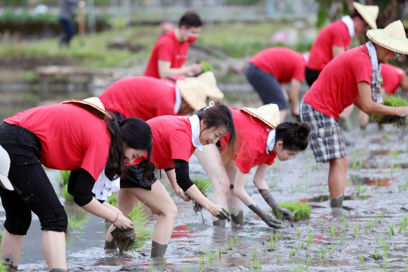 力挺台灣小農  「長耀一畝田」邁入第11年