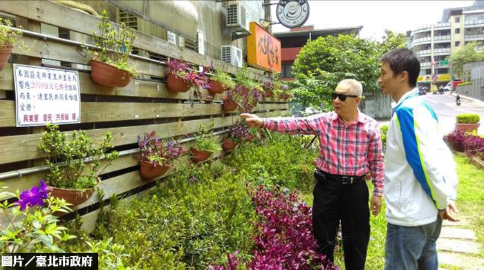 荒地變花園　文山巷弄綠美化變身！