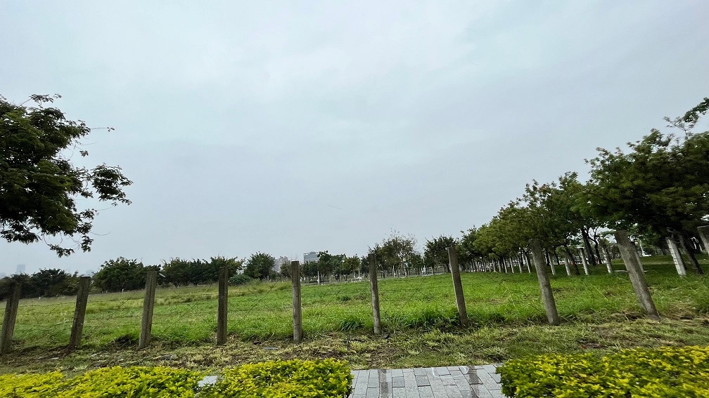 周昆立／沒人要的祖產面積創新高！揭子孫2擺爛原因好無奈