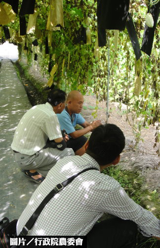 鼓勵青年務農　農委會設一條龍示範園區