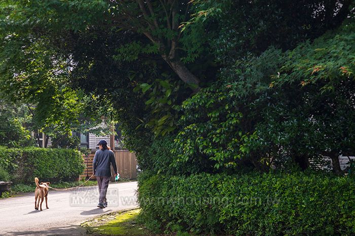 繼北台灣美式別墅社區後，2020史詩級莊園再掀話題