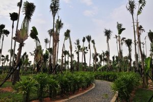 小港熱帶園開放 建商擬推千萬別墅
