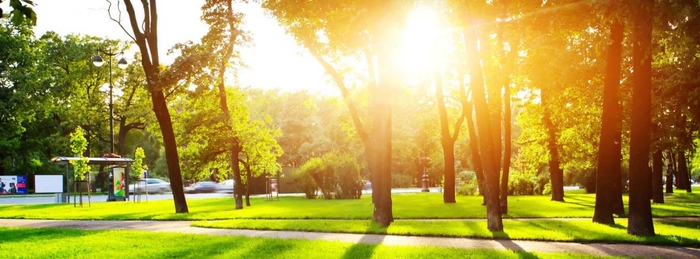 我在永和四號公園的每一天