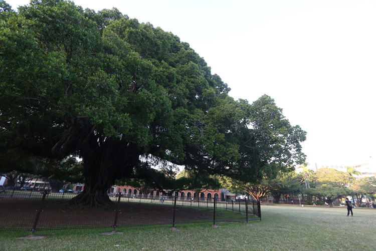 2016企業最愛大學生調查　成大拔得頭籌