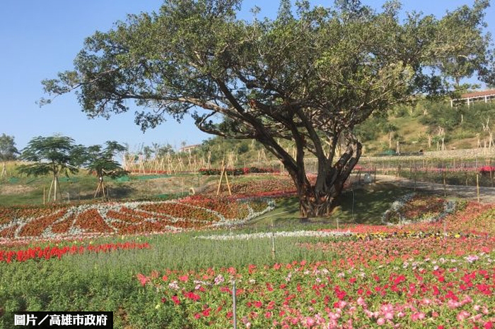 高雄覆鼎金公墓遷葬 45公頃全國最大遷葬面積