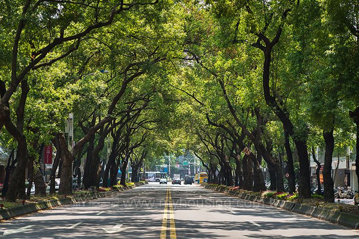 中山北路走七擺，離不開的還是中山北