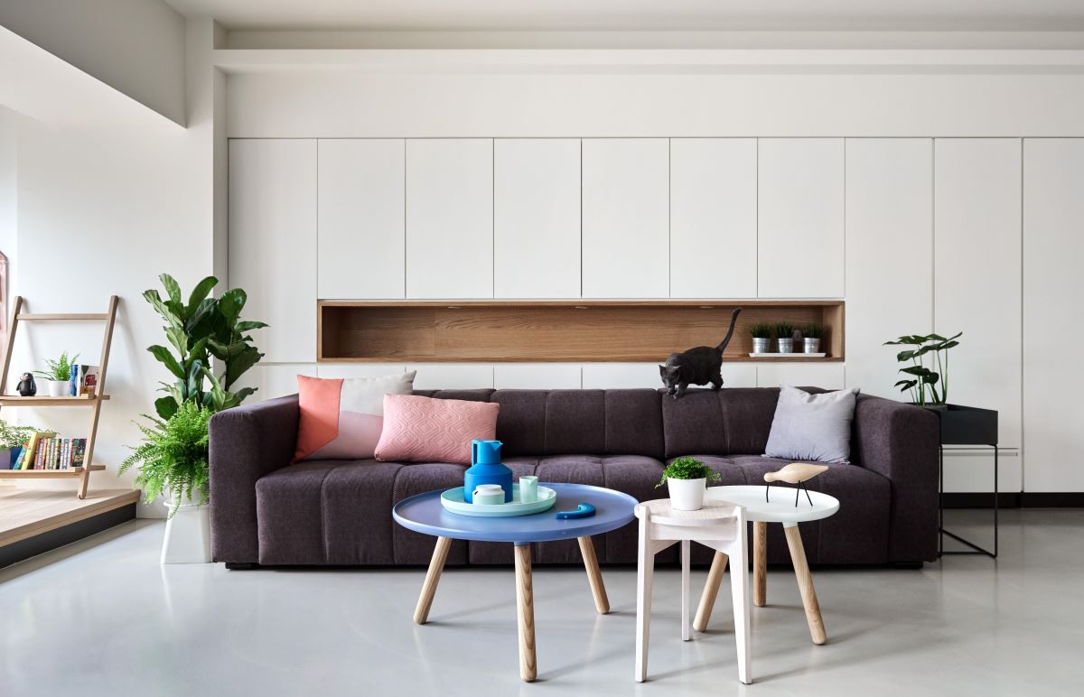 【TV】輕鬆翻轉老舊裝潢  愛上無私共享宅