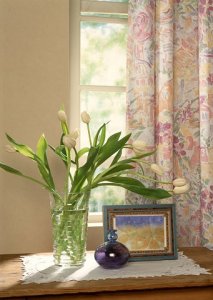 時尚居家當道好宅重視健康