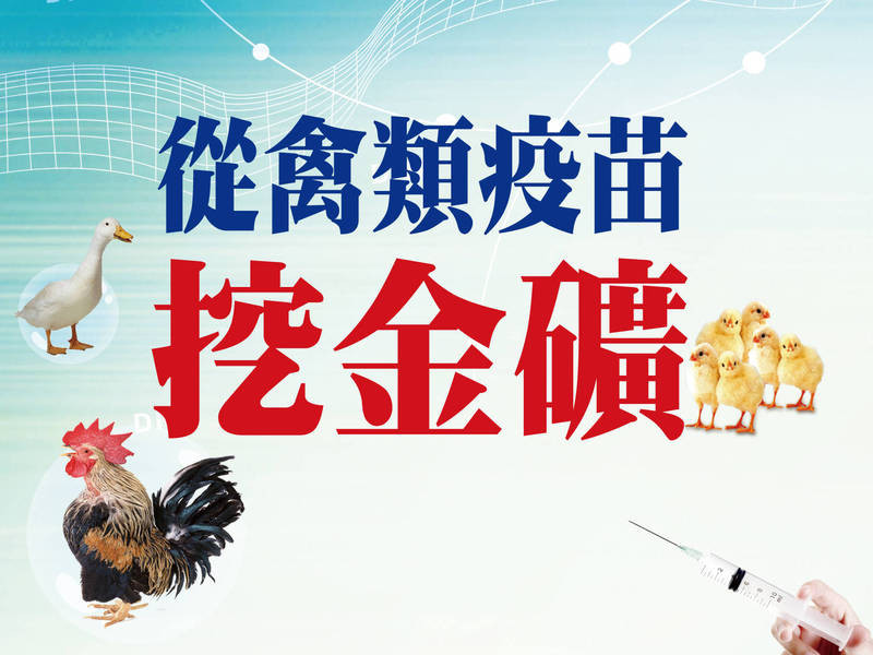 從東協禽類疫苗挖金礦