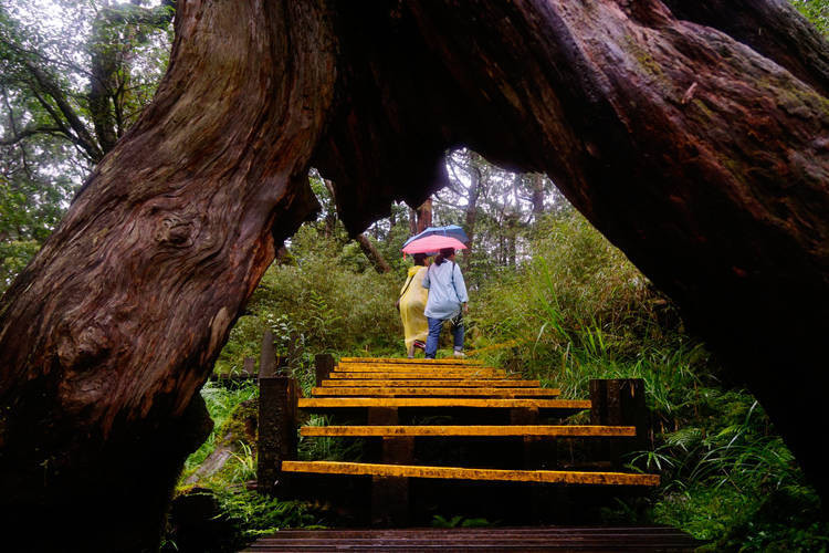 生態旅遊探索趣！42條路線 重新遊寶島