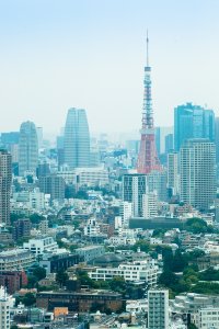 投資新顯學　熱區總解析