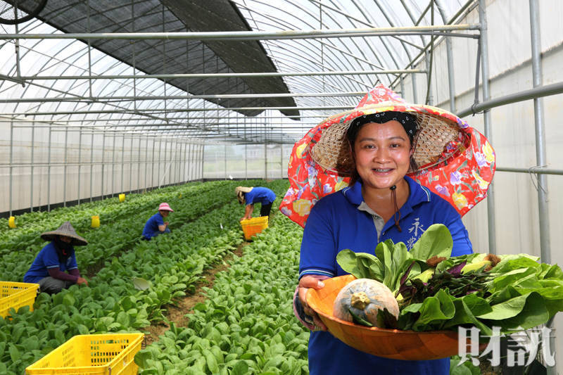 有機農業企業化　正在一步步改變你的餐桌