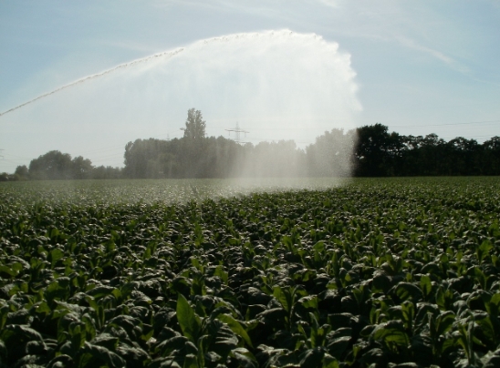 繼承上億農地笑不出來？「田二代」嘆手頭緊：看得到吃不到