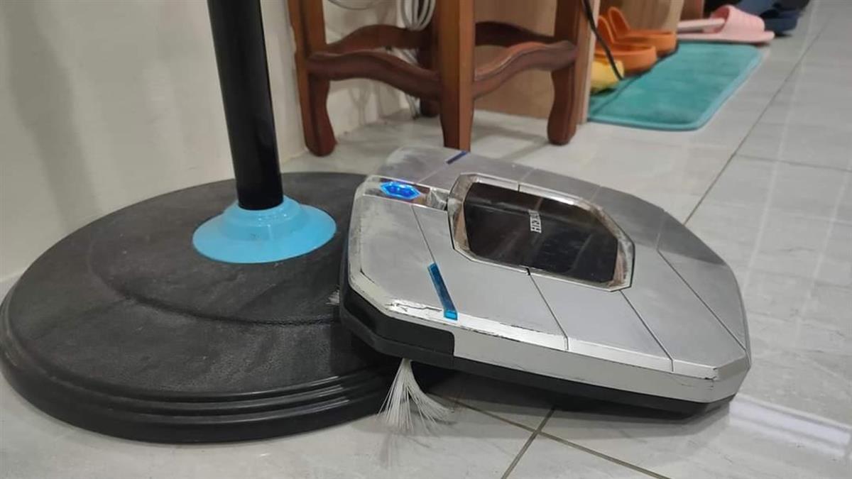 擔心毛孩沒人陪 家中髒亂沒人清？ 網推一神器「監看打掃全包了」