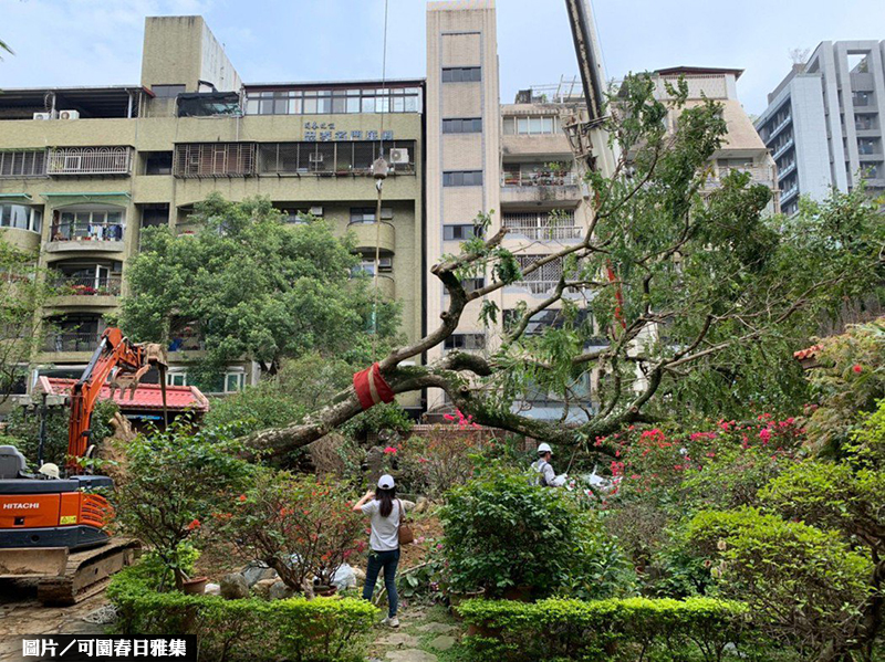 瓊瑤故居列危老重建 蓋14層新大樓