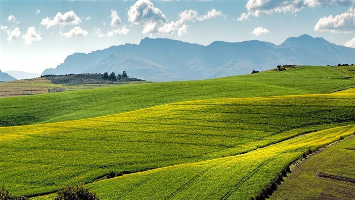 繼承數塊「農業區土地」 他問如何增加收益？ 網見細節勸：賣一賣