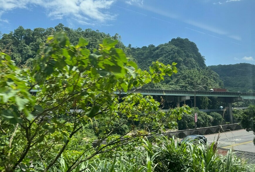 國產署啟動「種碳權」新制 第四季釋出北中南造林地