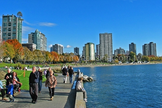 供不應求　加拿大房價飆高