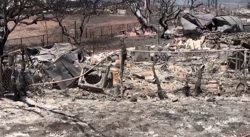 社區全燒光！夏威夷「奇蹟小屋」毫髮無傷 屋主曝防火關鍵