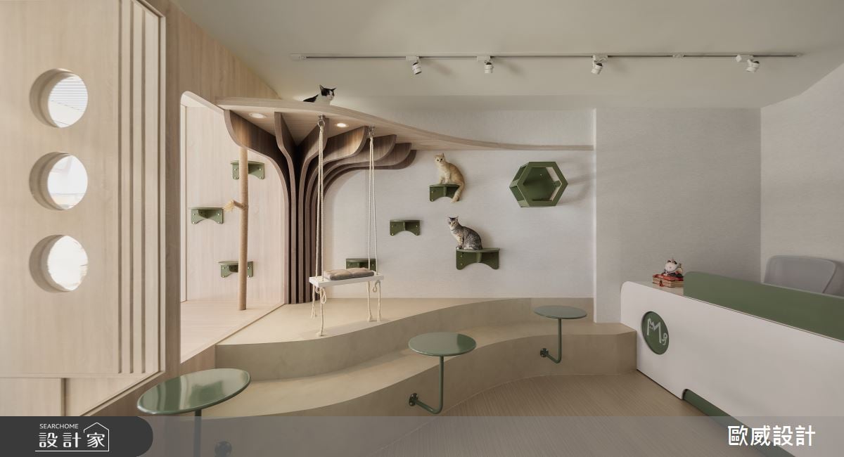 30坪老宅翻新改造！簡約風商空，實現貓咪療癒的安心寄宿旅社