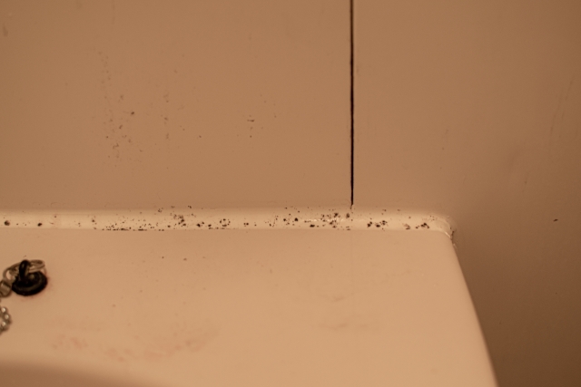 流理台矽利康「整條發霉」噁爆！內行曝超猛神物 不用刷就乾淨