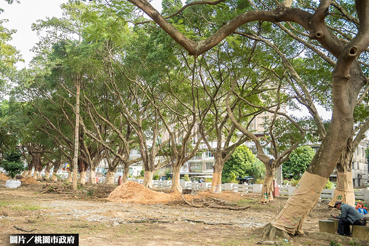 龜山中正公園重建 變身「青銀共樂」空間