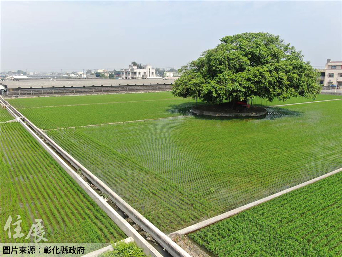 筆電價買地！彰化農地標售 爽當假日農夫趁現在