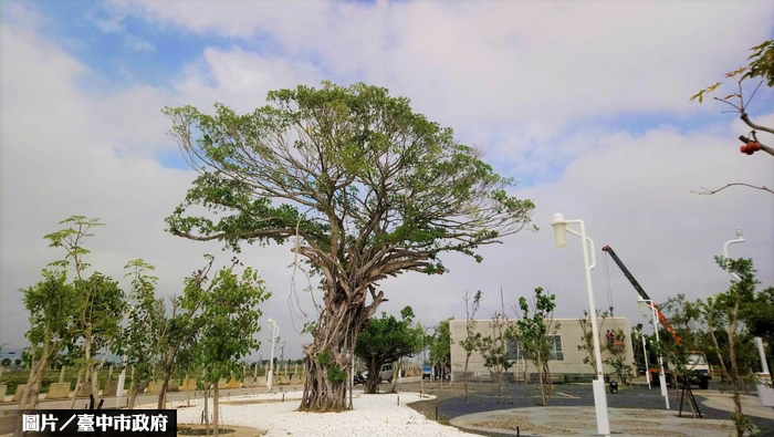 中市水湳中央公園　8月試營運