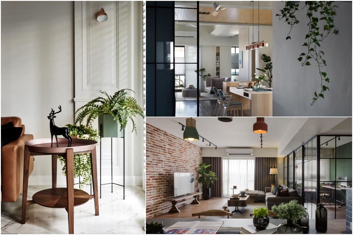 打造綠生活，走進自然的居家綠色植栽搭配法