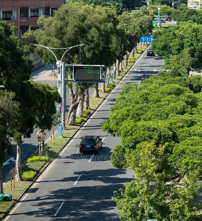 暌違6年 天母中山北路再現難得新案