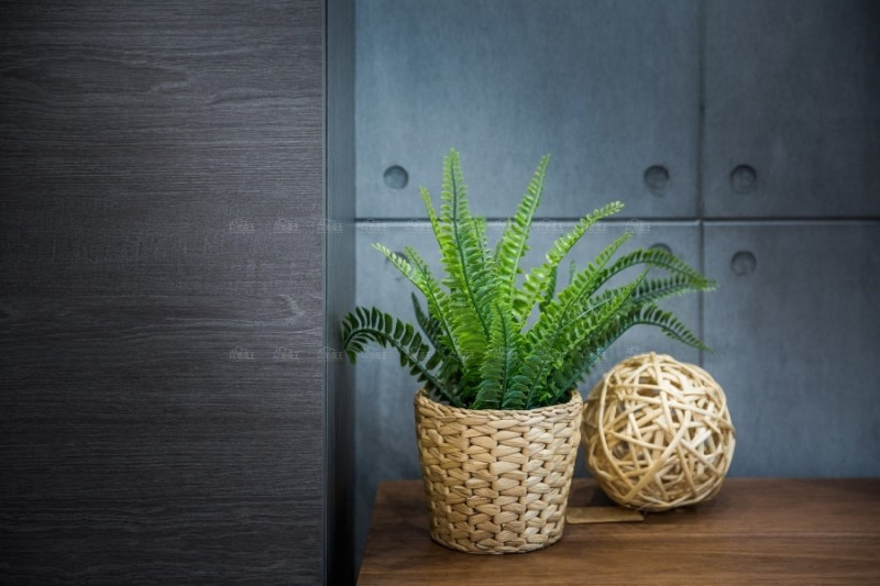 陽臺牆壁裝修問題知多少 裝修重點看這邊