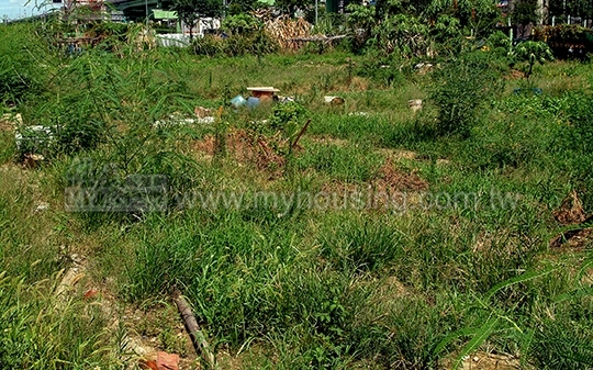 督導地方改善　環保署追查農地汙染