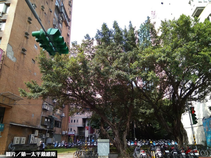 北市議會舊址旁地上權案 9.11億標脫