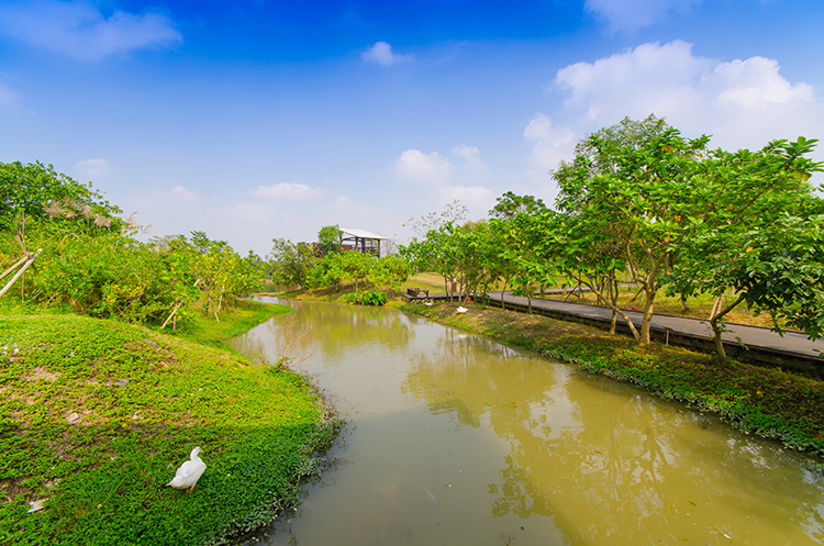 八德埤塘生態公園 翠綠清境旁 小資薪享室成【水玥】總價298萬起輕鬆付