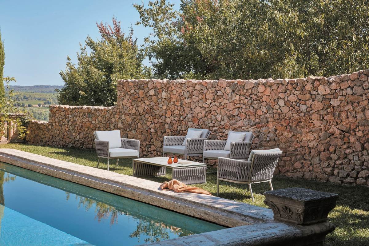 Dream Fairy 夢想藤飛