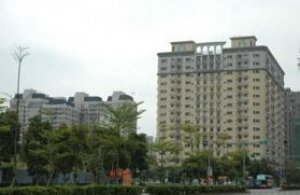 年度第一大檔氣勢順延 第二季案量可期