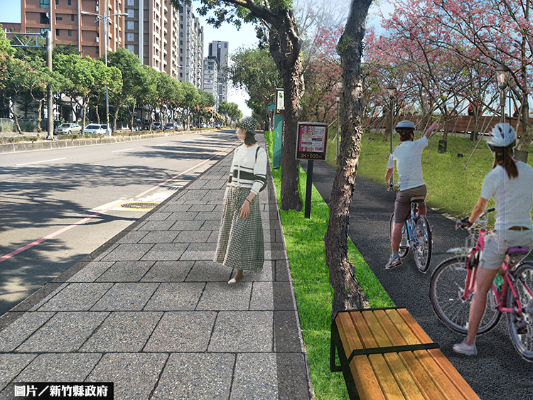 竹北市興隆路微整 造櫻花海步道