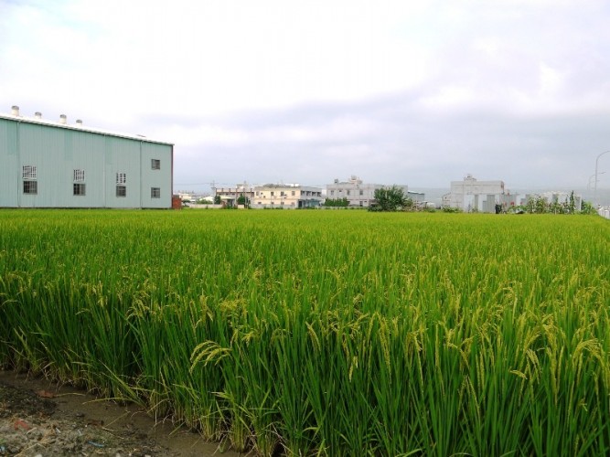 牡丹園邸別墅 與自然共舞的田園美宅