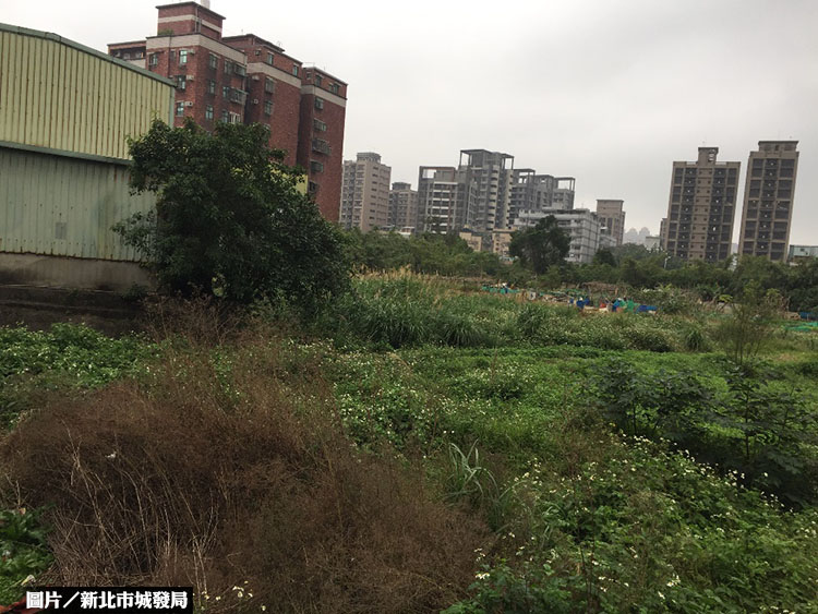 新北264公頃公保地通檢解編 還地於民