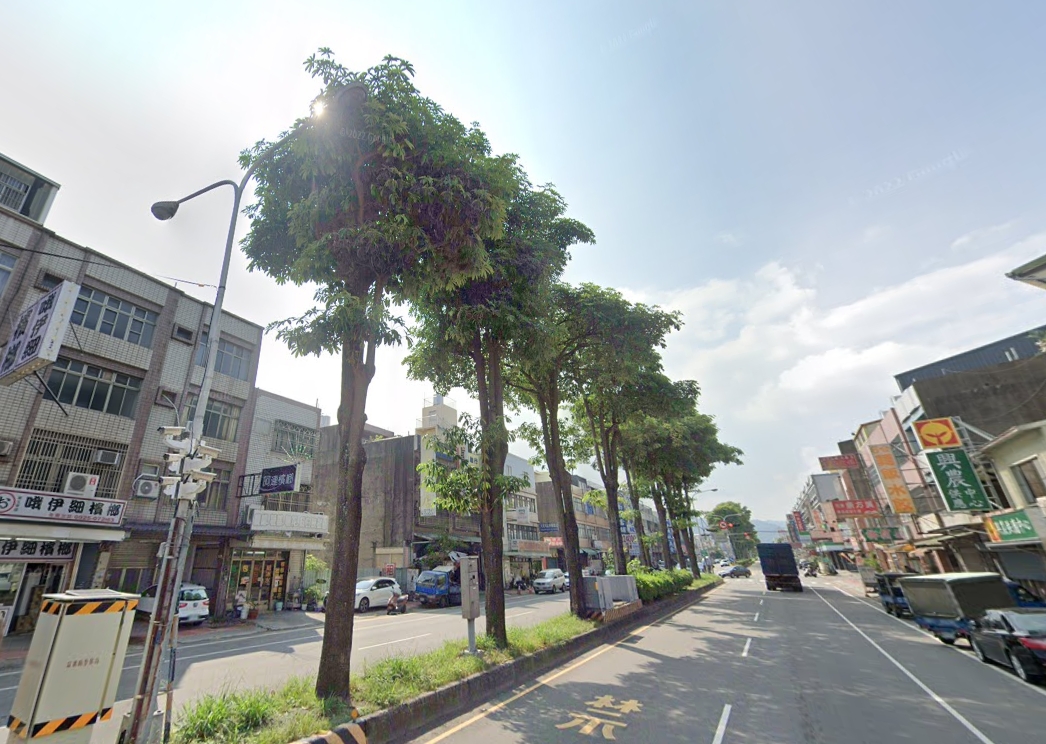 麻雀雖小「噪音俱全」！房市綠蔭成噩夢 公總砸1300萬移樹