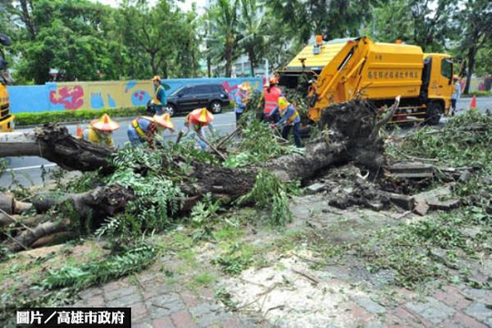 違規廣告害公安　高雄市府展鐵腕