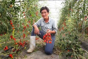 引進以色列滴灌技術　彰化小農抗旱傳奇